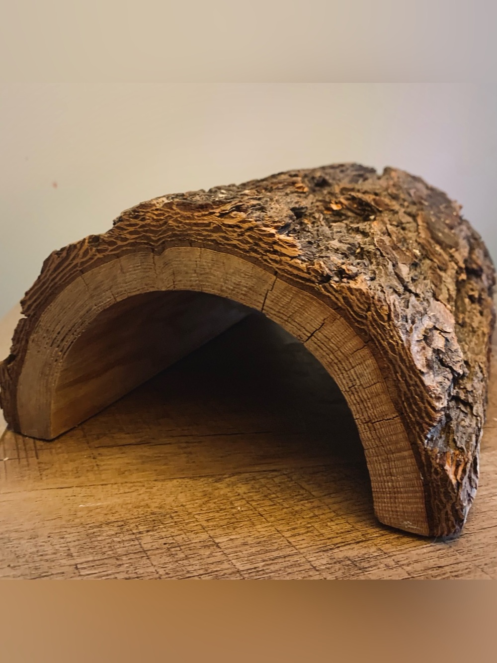 Natural Wood Reptile Log Hideout Habba Hut